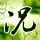把婚礼办成火锅局